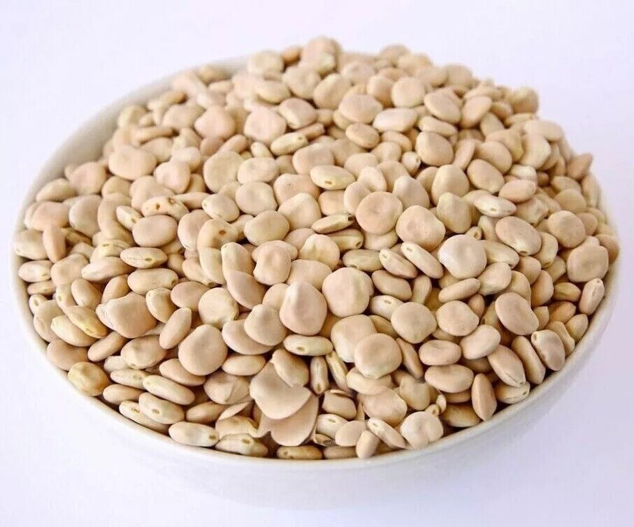 Sweet lupine beans