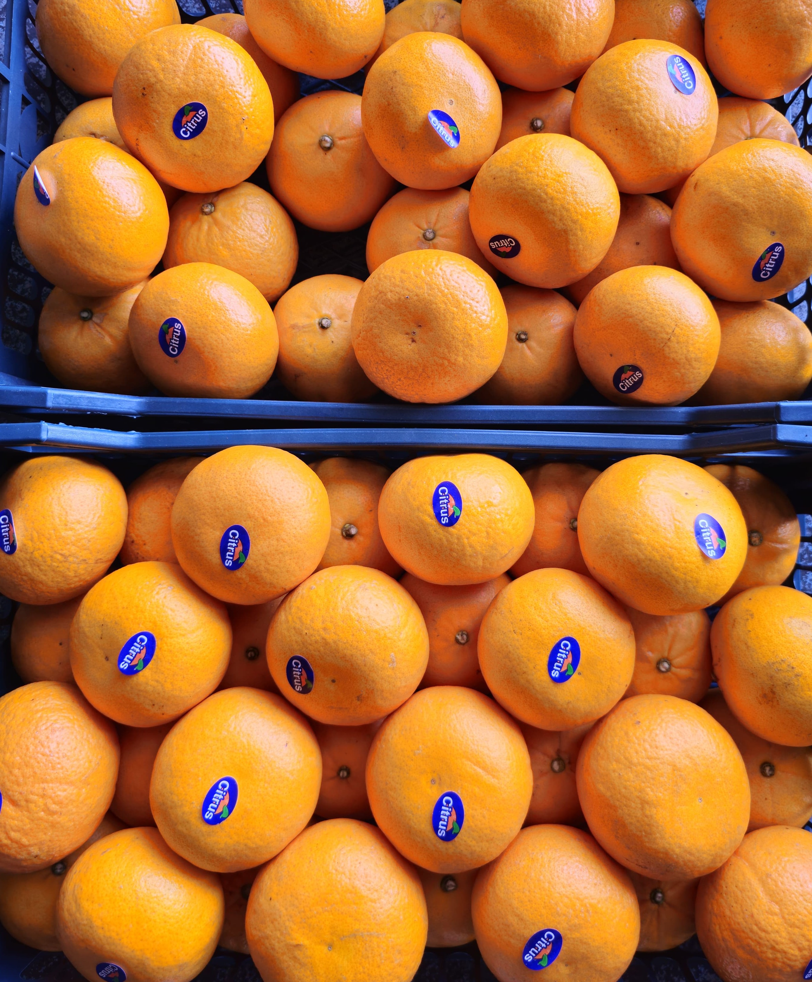 Fresh Mandarin