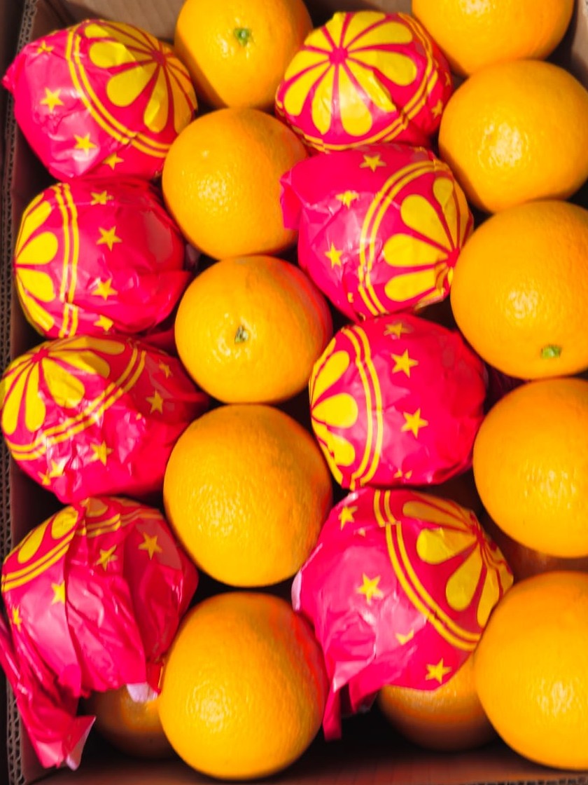 Fresh Orange