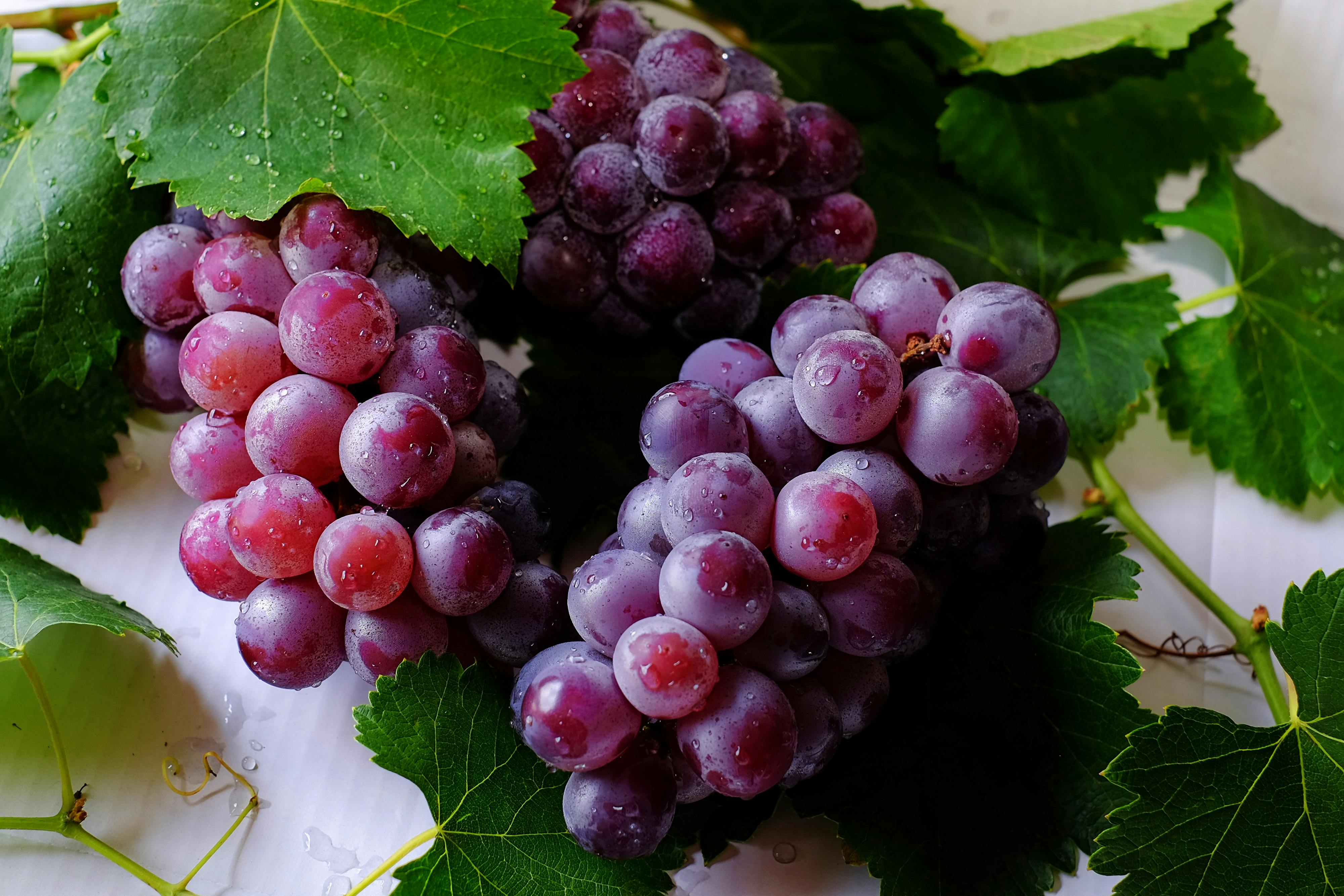 Fresh Grapes