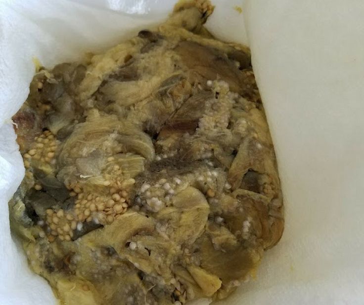 Frozen Roasted Eggplant