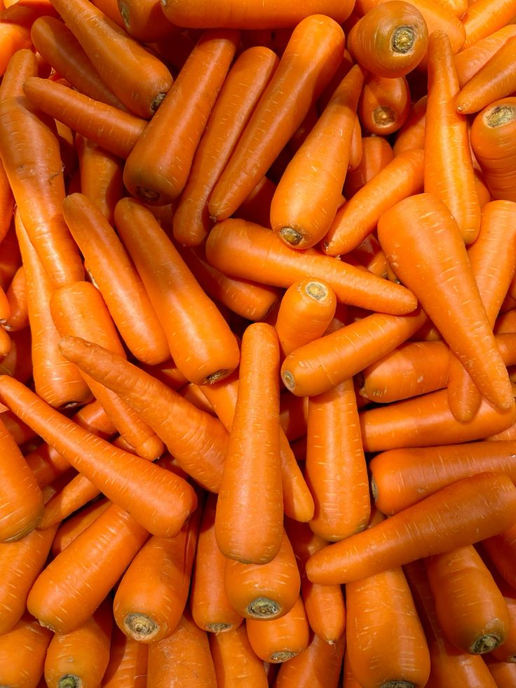 Fresh Carrot