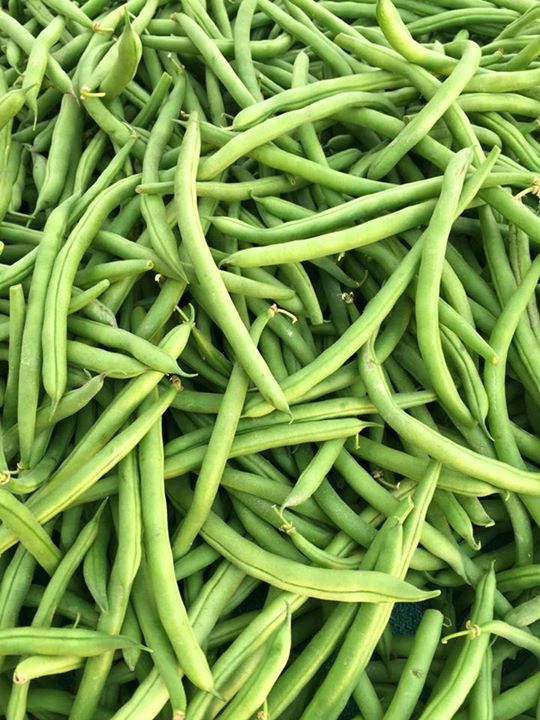 Fresh Green Beans