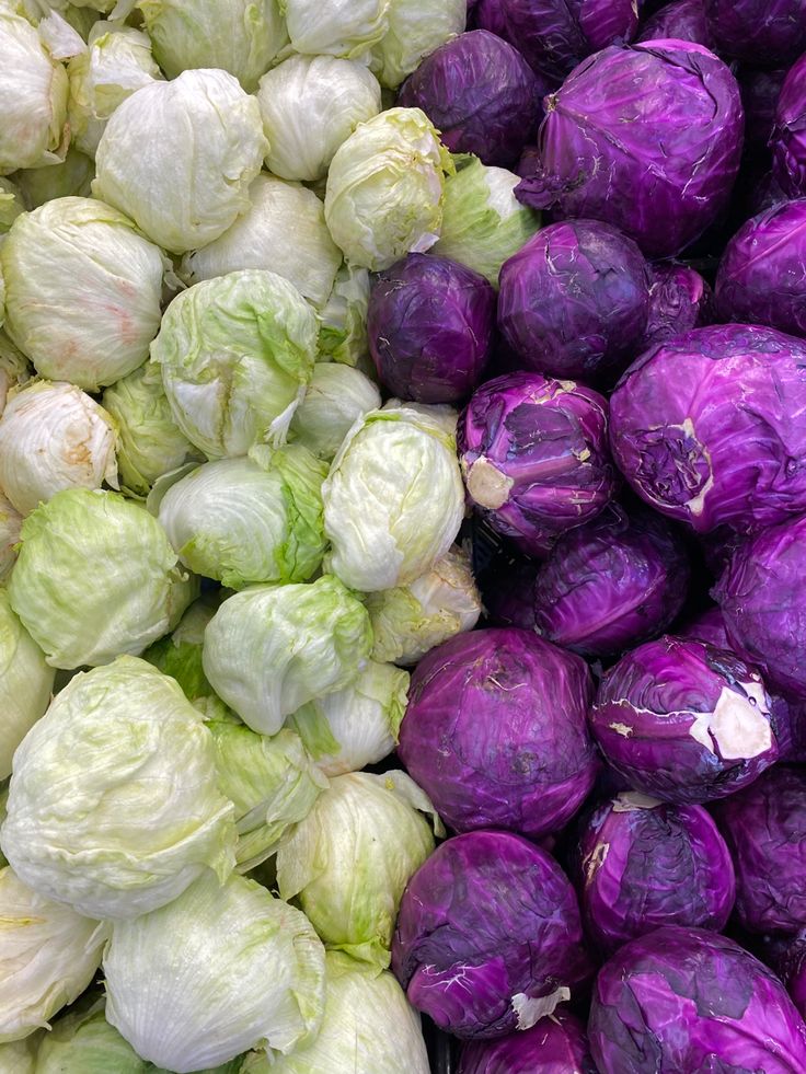 Fresh Iceberg Lettuce