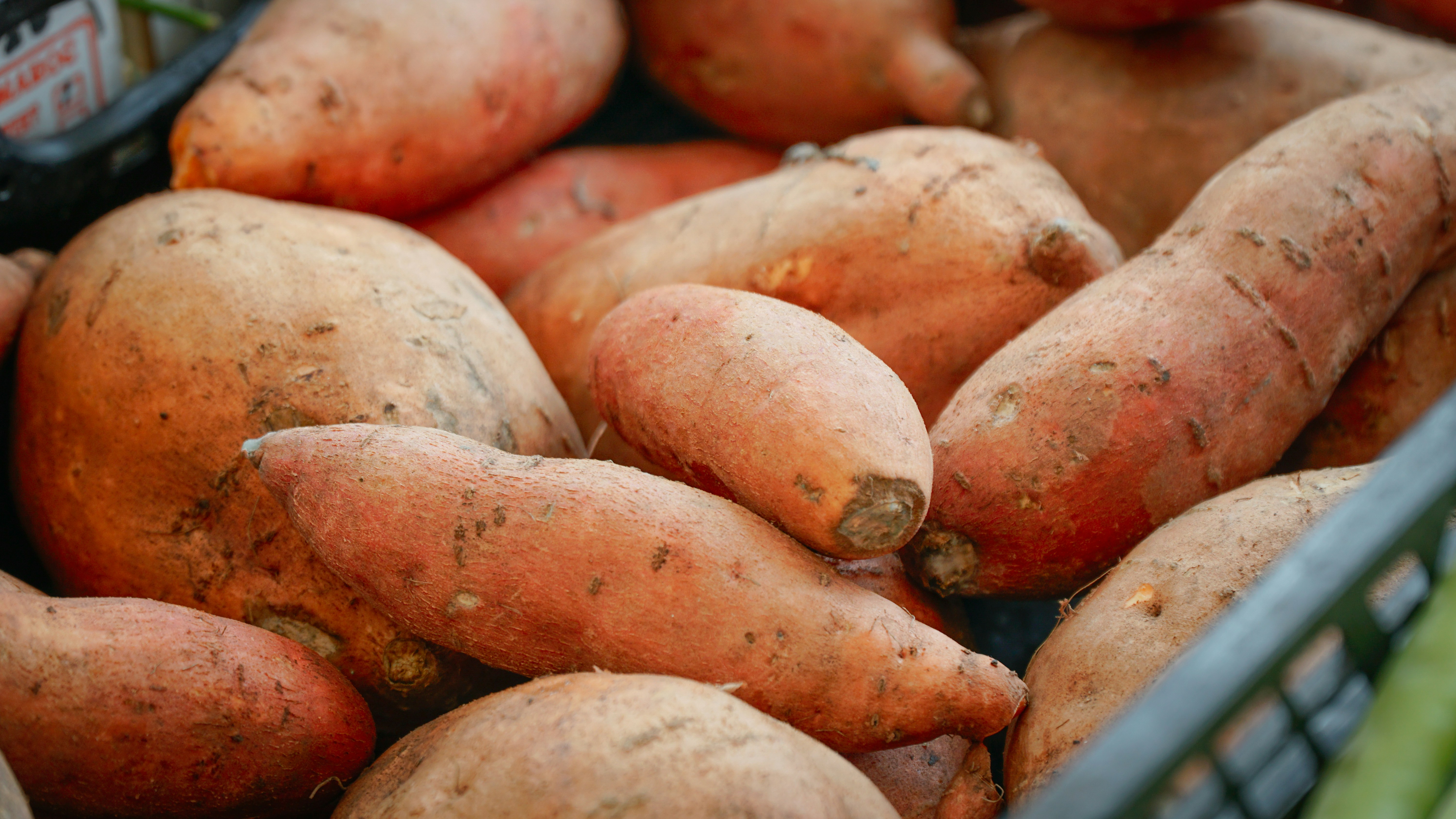 Fresh Sweet Potato