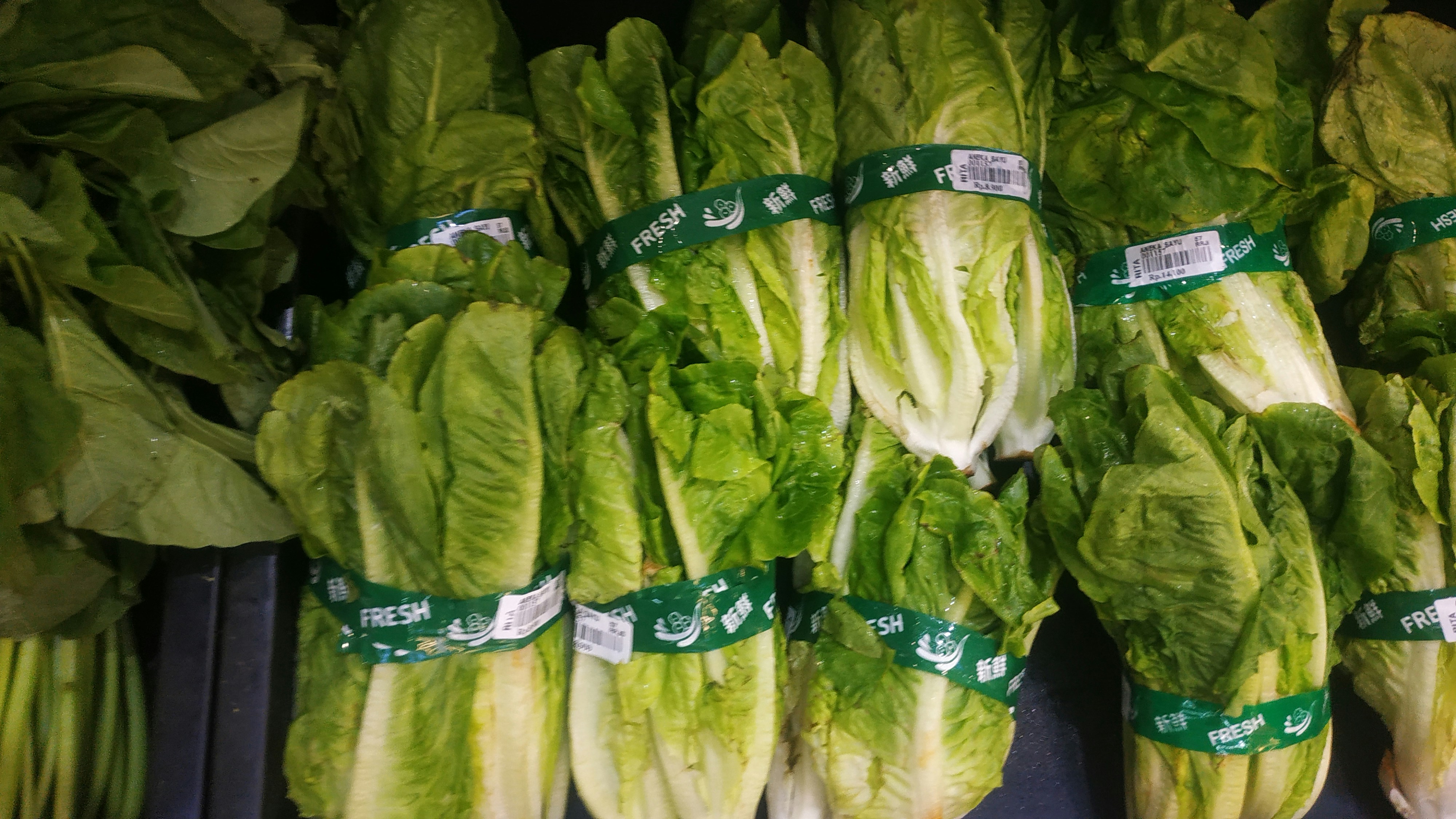 Fresh Iceberg Lettuce
